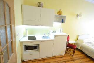 Апартаменты Skapo Apartments Вильнюс Апартаменты (для 2 взрослых)-2